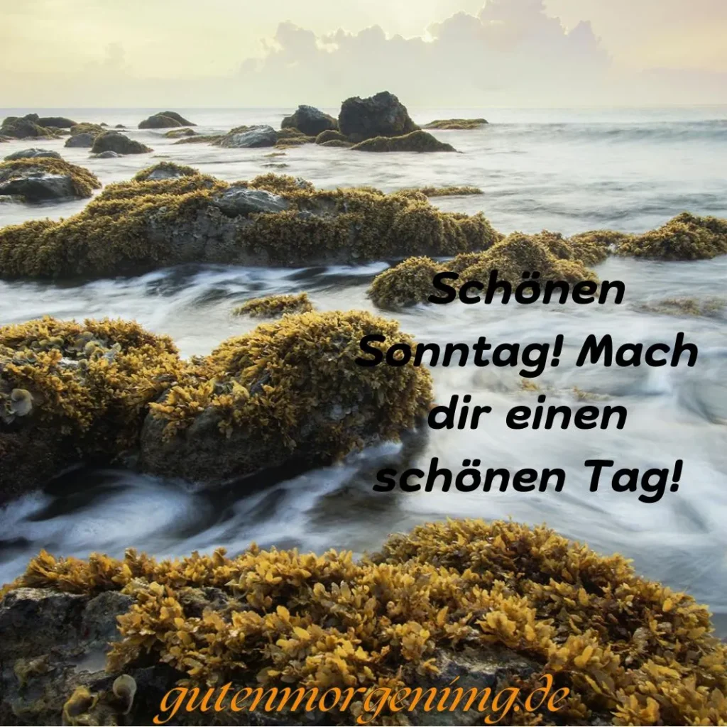 „Denn das Leben wird nur denen geschenkt, die sich hingegeben haben, denen, die geliebt haben.“ Guten Morgen Sonntag!