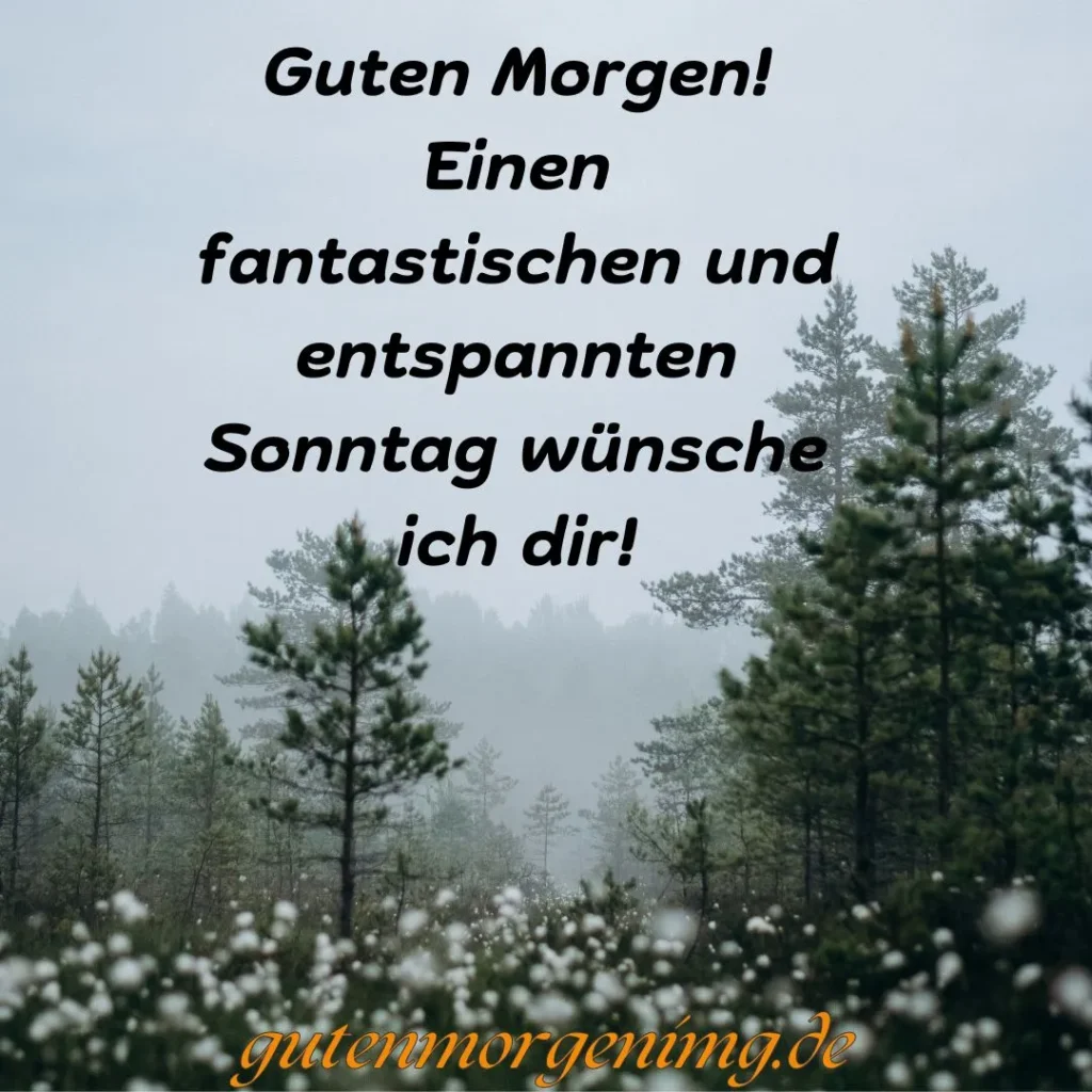 Zitate Zum Sonntagmorgen