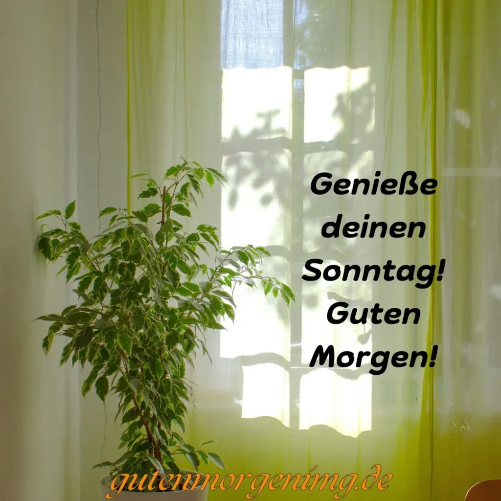 Guten Morgen! Möge Gott unsere Sonntagsruhe segnen und uns Kraft geben, die Woche zu beginnen.